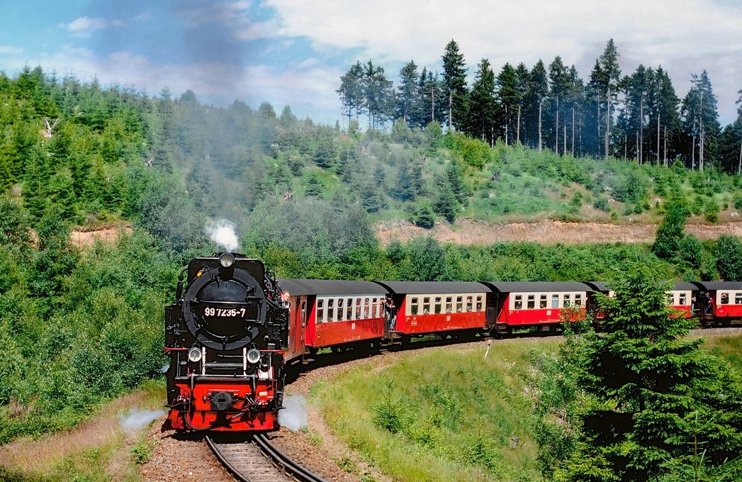 Dampfzug im Wald